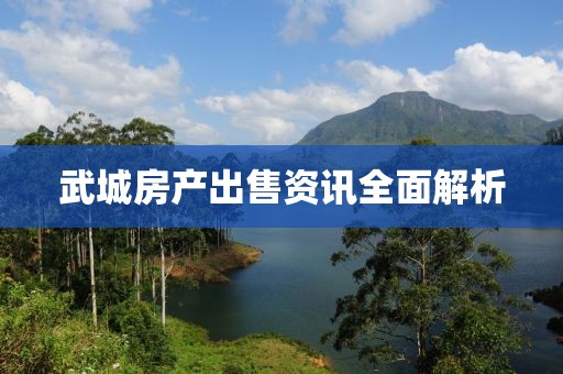 武城房产出售资讯全面解析