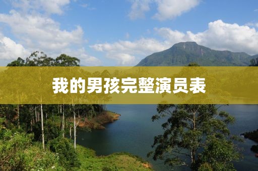 我的男孩完整演员表