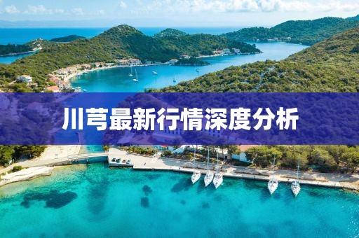 川芎最新行情深度分析