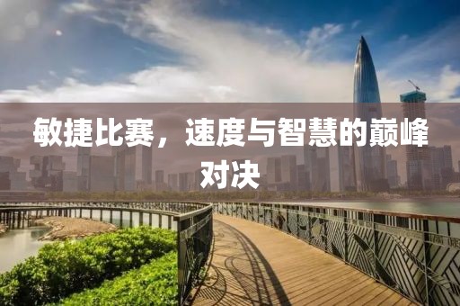 敏捷比赛，速度与智慧的巅峰对决