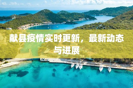 献县疫情实时更新，最新动态与进展