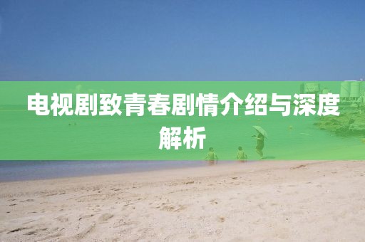 电视剧致青春剧情介绍与深度解析