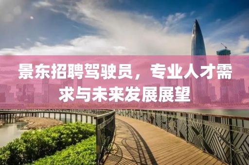 景东招聘驾驶员，专业人才需求与未来发展展望