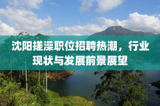 沈阳搓澡职位招聘热潮，行业现状与发展前景展望