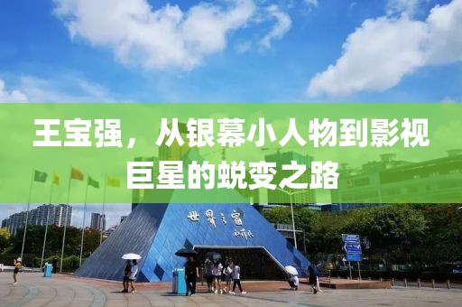 王宝强，从银幕小人物到影视巨星的蜕变之路