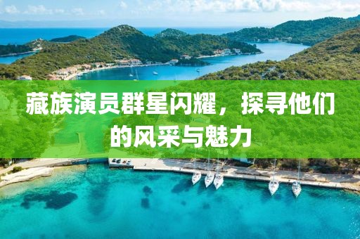 藏族演员群星闪耀，探寻他们的风采与魅力