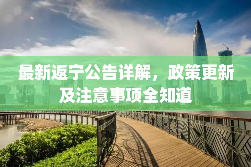 最新返宁公告详解，政策更新及注意事项全知道