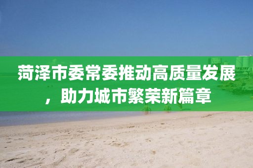 菏泽市委常委推动高质量发展，助力城市繁荣新篇章