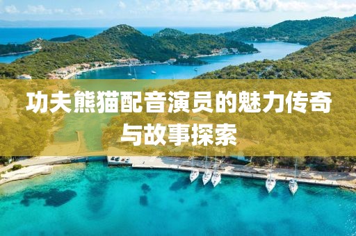 功夫熊猫配音演员的魅力传奇与故事探索