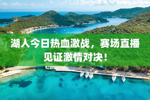 湖人今日热血激战，赛场直播见证激情对决！