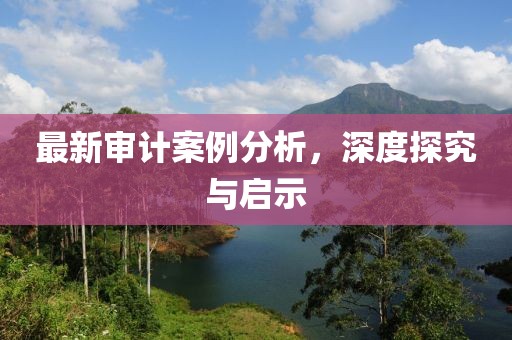 最新审计案例分析，深度探究与启示