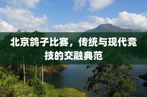 北京鸽子比赛，传统与现代竞技的交融典范