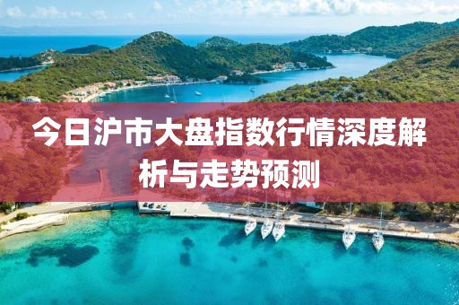 今日沪市大盘指数行情深度解析与走势预测