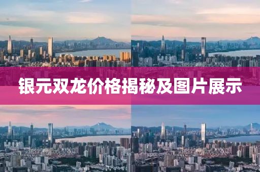 银元双龙价格揭秘及图片展示