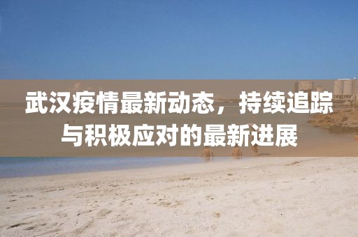 武汉疫情最新动态，持续追踪与积极应对的最新进展
