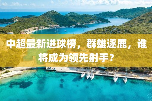中超最新进球榜，群雄逐鹿，谁将成为领先射手？
