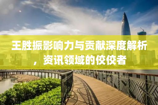 王胜振影响力与贡献深度解析，资讯领域的佼佼者
