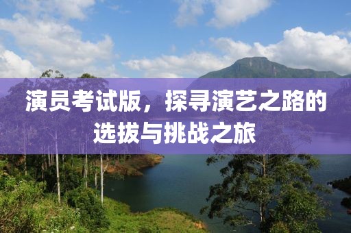 演员考试版，探寻演艺之路的选拔与挑战之旅