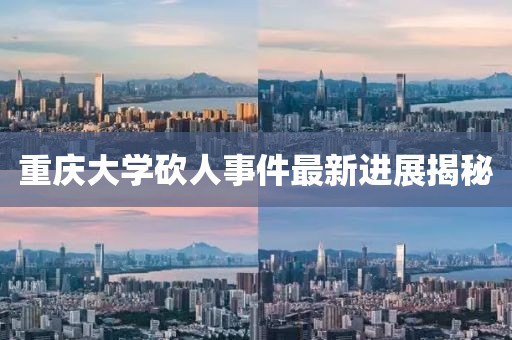 重庆大学砍人事件最新进展揭秘