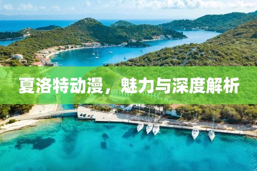 夏洛特动漫，魅力与深度解析