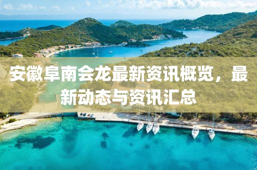 安徽阜南会龙最新资讯概览，最新动态与资讯汇总