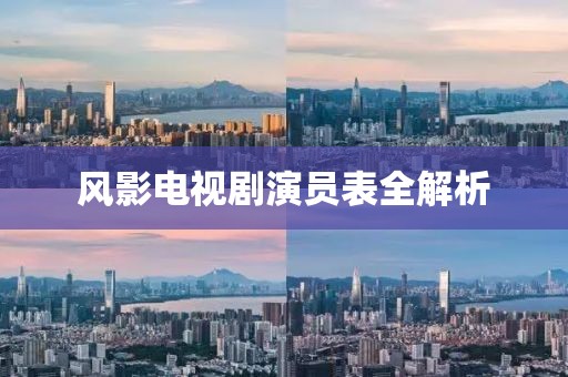 风影电视剧演员表全解析