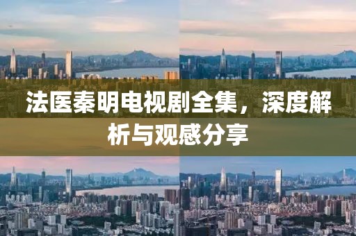法医秦明电视剧全集，深度解析与观感分享