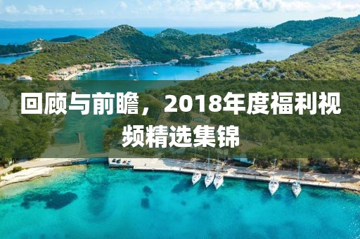 回顾与前瞻，2018年度福利视频精选集锦