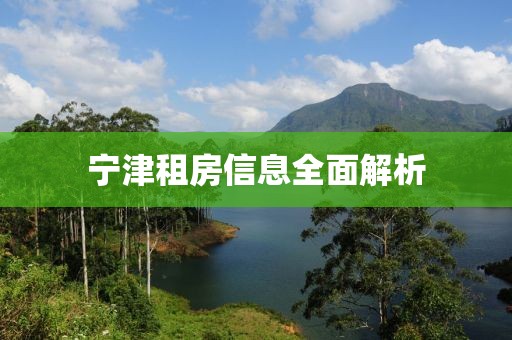 宁津租房信息全面解析