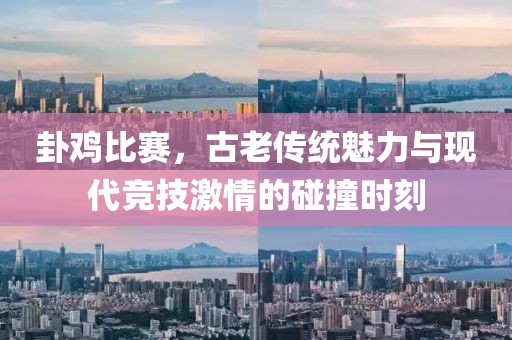 卦鸡比赛，古老传统魅力与现代竞技激情的碰撞时刻