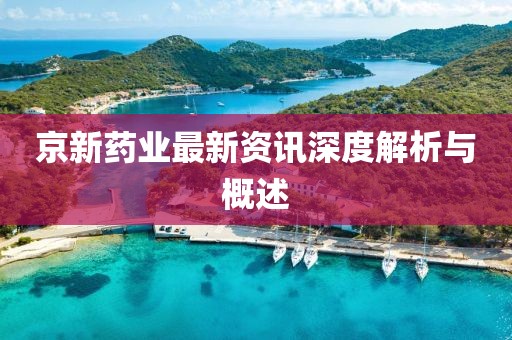 京新药业最新资讯深度解析与概述