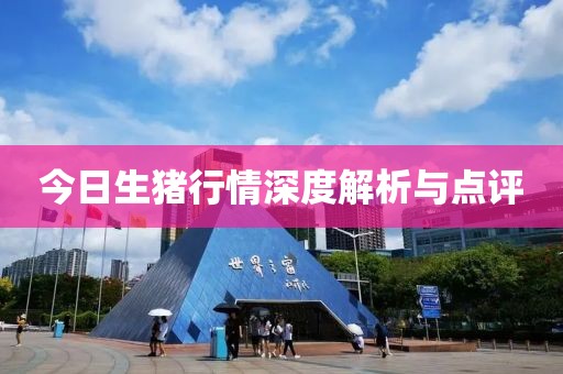 今日生猪行情深度解析与点评