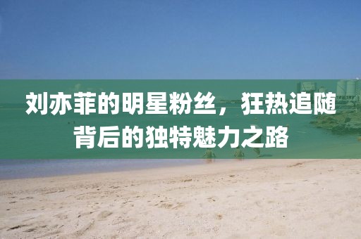 刘亦菲的明星粉丝，狂热追随背后的独特魅力之路