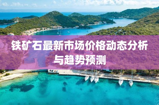 铁矿石最新市场价格动态分析与趋势预测