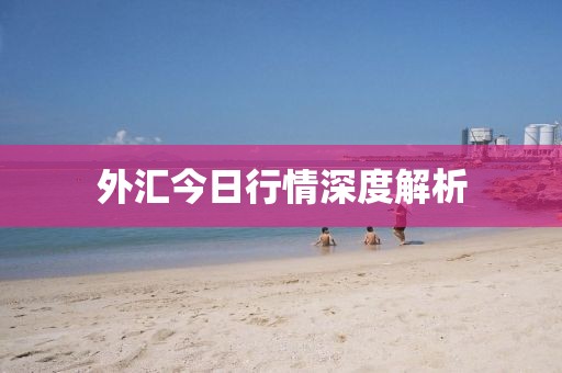 外汇今日行情深度解析