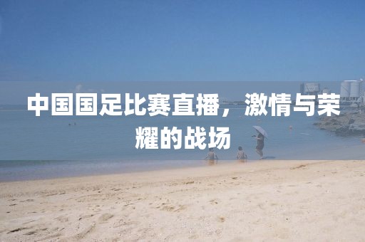 中国国足比赛直播，激情与荣耀的战场