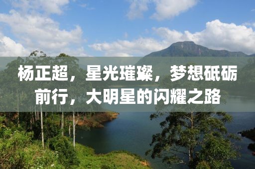 杨正超，星光璀璨，梦想砥砺前行，大明星的闪耀之路