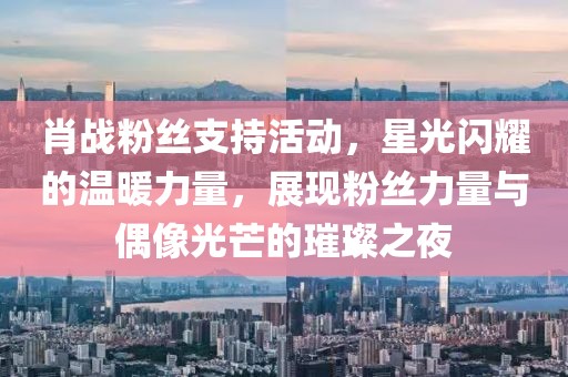 肖战粉丝支持活动，星光闪耀的温暖力量，展现粉丝力量与偶像光芒的璀璨之夜