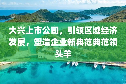 大兴上市公司，引领区域经济发展，塑造企业新典范典范领头羊