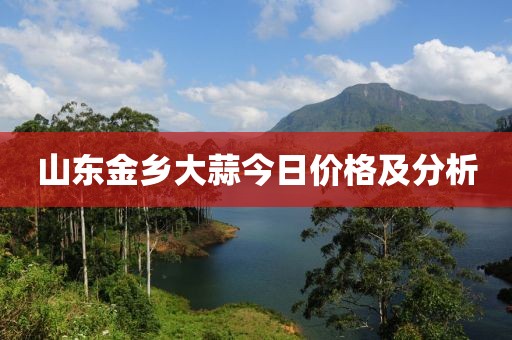 山东金乡大蒜今日价格及分析