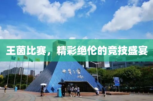 王茵比赛，精彩绝伦的竞技盛宴