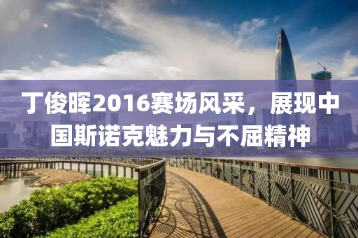 丁俊晖2016赛场风采，展现中国斯诺克魅力与不屈精神