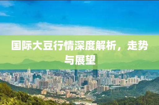 国际大豆行情深度解析，走势与展望