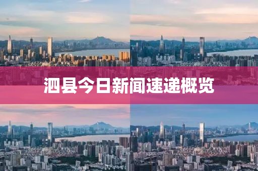 泗县今日新闻速递概览