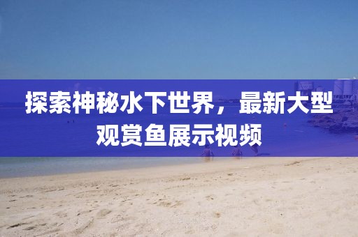 探索神秘水下世界，最新大型观赏鱼展示视频