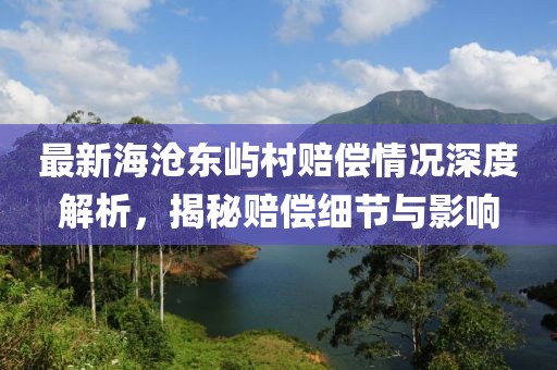 最新海沧东屿村赔偿情况深度解析，揭秘赔偿细节与影响