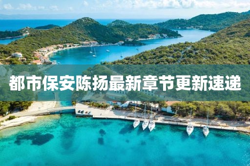 都市保安陈扬最新章节更新速递