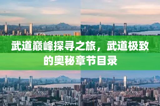 武道巅峰探寻之旅，武道极致的奥秘章节目录