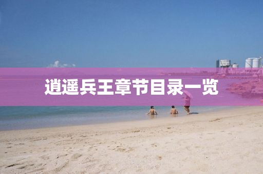 逍遥兵王章节目录一览