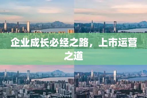 企业成长必经之路，上市运营之道